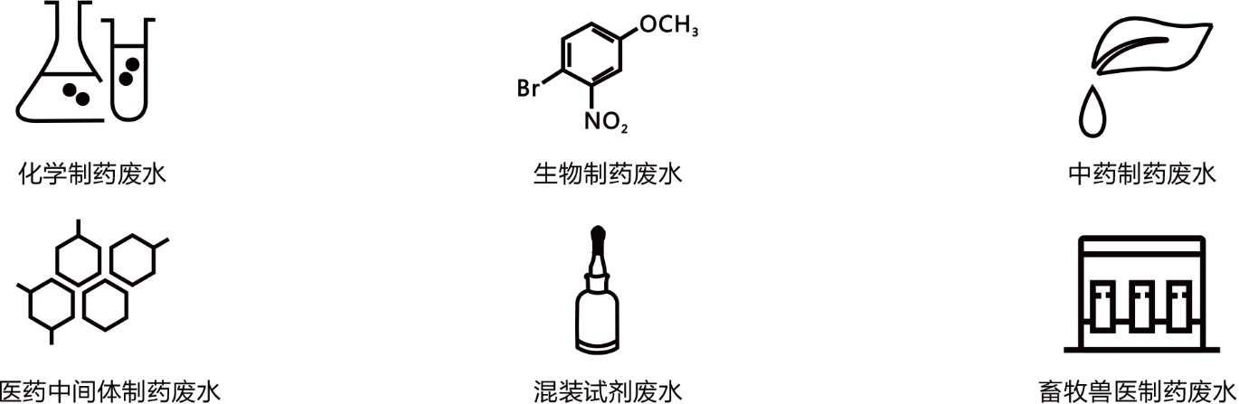 image6.jpeg